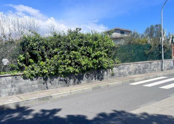 WhatsApp Image 2025-04-07 at 09.37.30 (8).jpeg - Terreno agricolo Tremestieri Etneo - foto 9