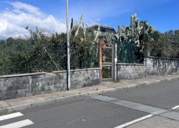 WhatsApp Image 2025-04-07 at 09.37.30 (10).jpeg - Terreno agricolo Tremestieri Etneo - foto 11