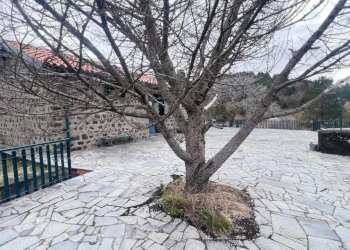 WhatsApp Image 2025-03-07 at 11.24.07 (7).jpeg - Villa Ragalna - foto 25