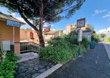 20241018_115010.jpg - Appartamento Genova - foto 6