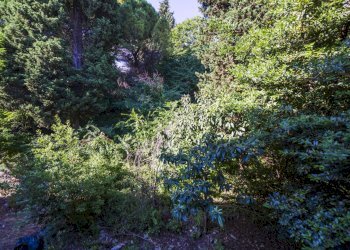 IMG_8276.jpg - Appartamento Via Carlo Emery 1, Genova - foto 30