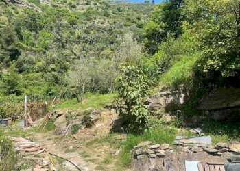 WhatsApp Image 2025-05-02 at 15.29.32 (17).jpeg - Casa semi indipendente Via Molinetti di Nervi 32, Genova - foto 14