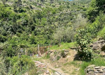 WhatsApp Image 2025-05-02 at 15.29.32 (18).jpeg - Casa semi indipendente Via Molinetti di Nervi 32, Genova - foto 15