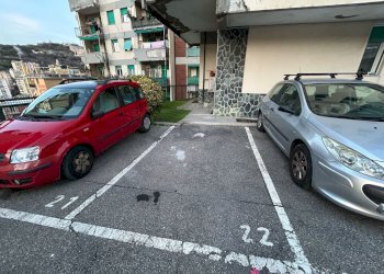 WhatsApp Image 2025-03-03 at 10.05.45.jpeg - Apartment Via Franco Antolini 8, Genova - photo 29