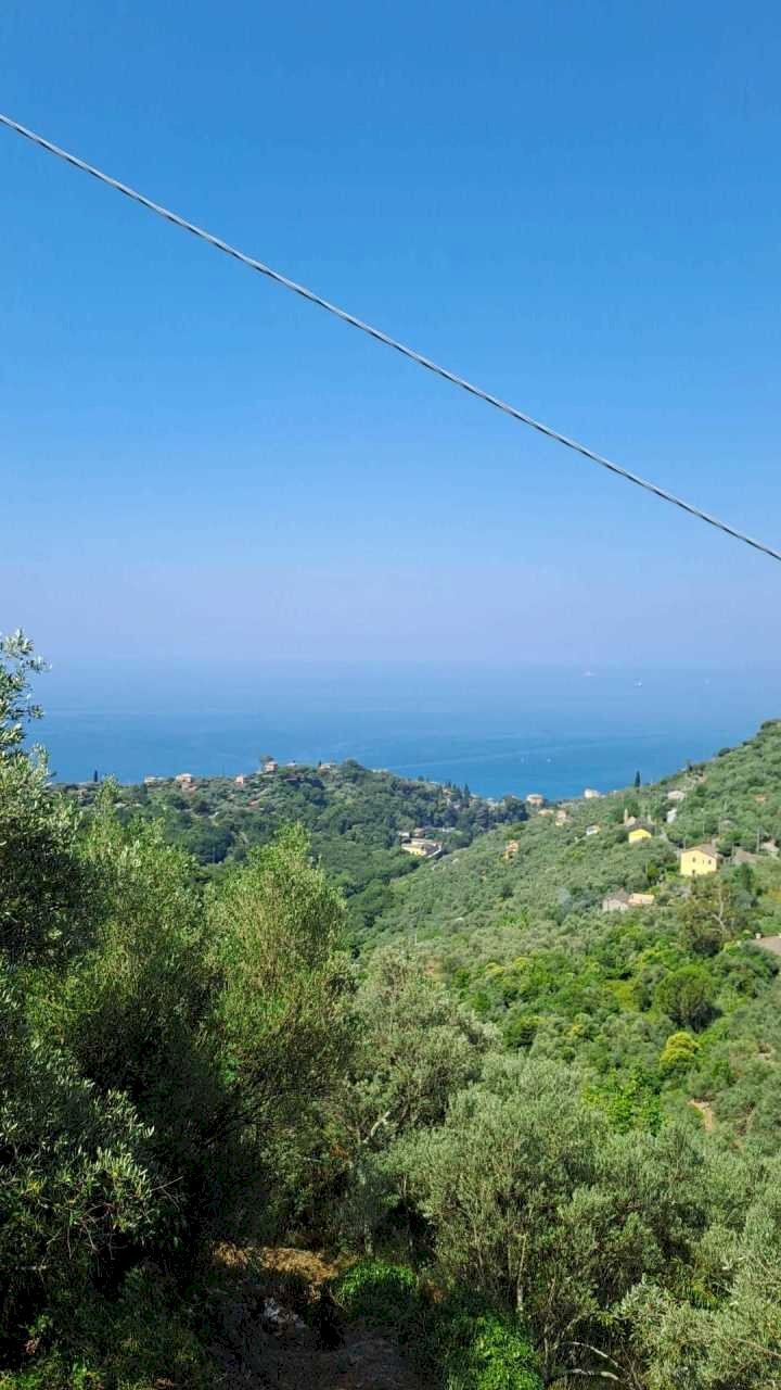 WhatsApp Image 2025-07-15 at 19.06.32.jpeg - Agricultural land Via Carbonara 56, Recco - photo 1