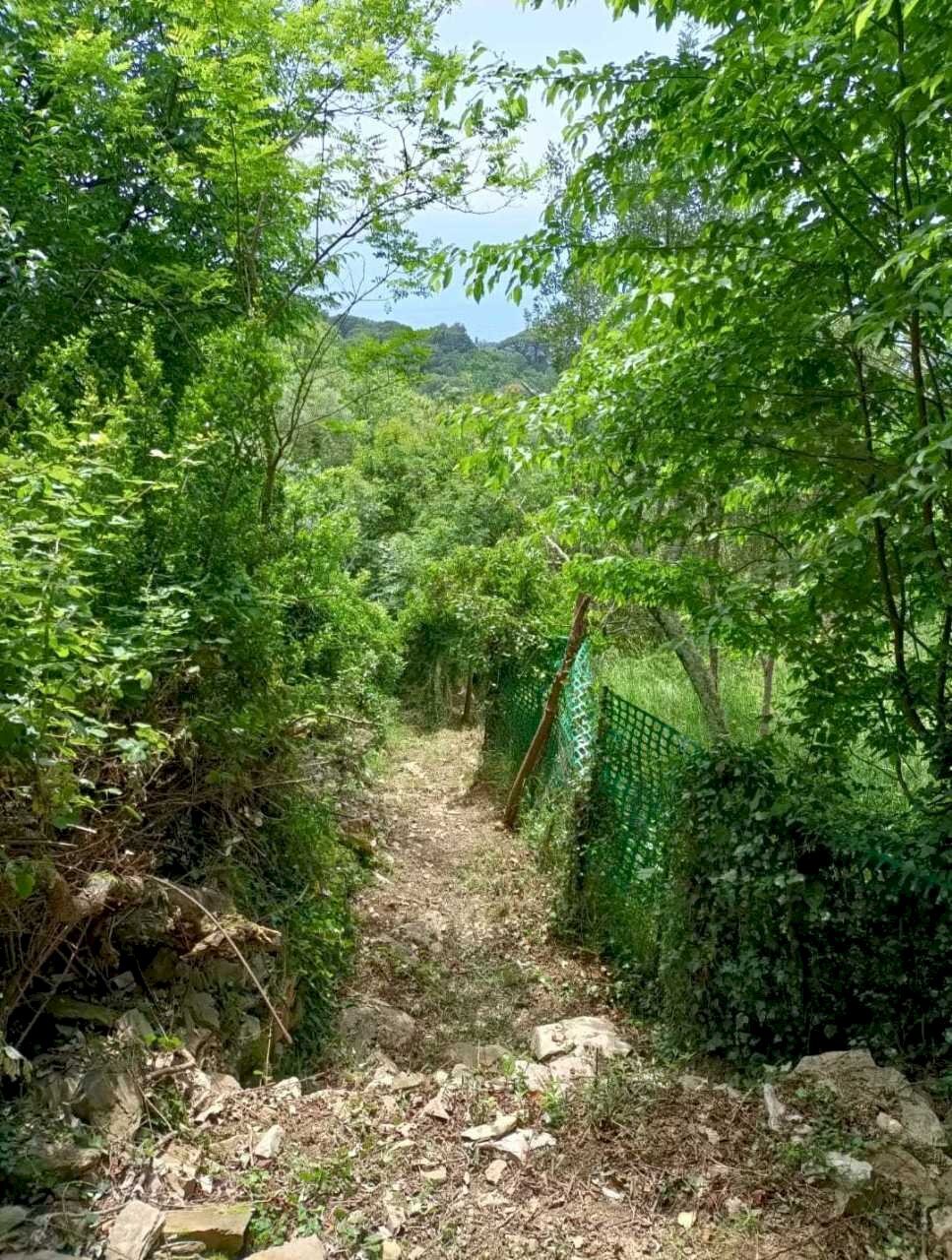 WhatsApp Image 2025-07-15 at 19.06.22 (1).jpeg - Agricultural land Via Carbonara 56, Recco - photo 2