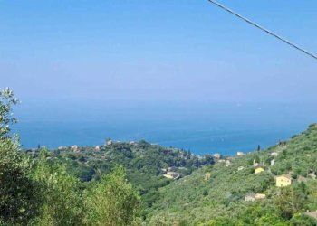 WhatsApp Image 2025-07-15 at 19.06.32.jpeg - Terreno agricolo Via Carbonara 56, Recco - foto 1