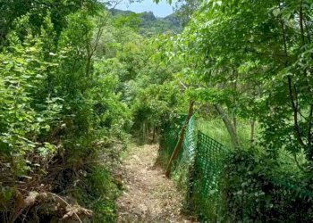 WhatsApp Image 2025-07-15 at 19.06.22 (1).jpeg - Terreno agricolo Via Carbonara 56, Recco - foto 2