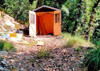 WhatsApp Image 2025-07-15 at 19.06.22 (2).jpeg - Terreno agricolo Via Carbonara 56, Recco - foto 3