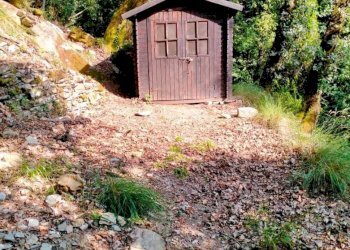 WhatsApp Image 2025-07-15 at 19.06.22.jpeg - Terreno agricolo Via Carbonara 56, Recco - foto 4