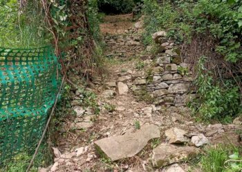 WhatsApp Image 2025-07-15 at 19.06.23.jpeg - Terreno agricolo Via Carbonara 56, Recco - foto 5