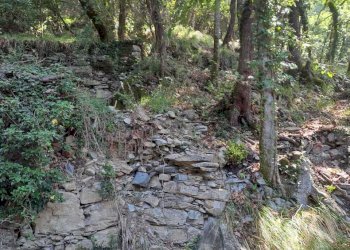 WhatsApp Image 2025-07-15 at 19.06.29.jpeg - Terreno agricolo Via Carbonara 56, Recco - foto 6