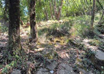 WhatsApp Image 2025-07-15 at 19.06.31 (1).jpeg - Terreno agricolo Via Carbonara 56, Recco - foto 7