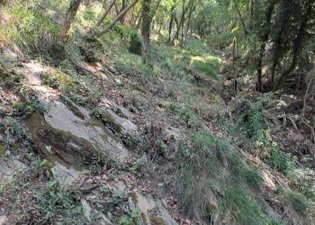 WhatsApp Image 2025-07-15 at 19.06.31 (2).jpeg - Terreno agricolo Via Carbonara 56, Recco - foto 8