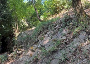 WhatsApp Image 2025-07-15 at 19.06.31.jpeg - Terreno agricolo Via Carbonara 56, Recco - foto 9