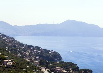 IMG_7833.jpg - Appartamento Via del Pianello 12, Genova - foto 20