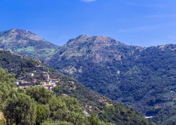 IMG_7838.jpg - Appartamento Via del Pianello 12, Genova - foto 21