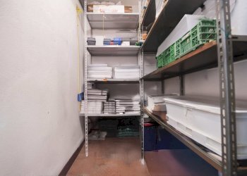 IMG_2155b.jpg - Appartamento Via Antonio Burlando 16A, Genova - foto 20