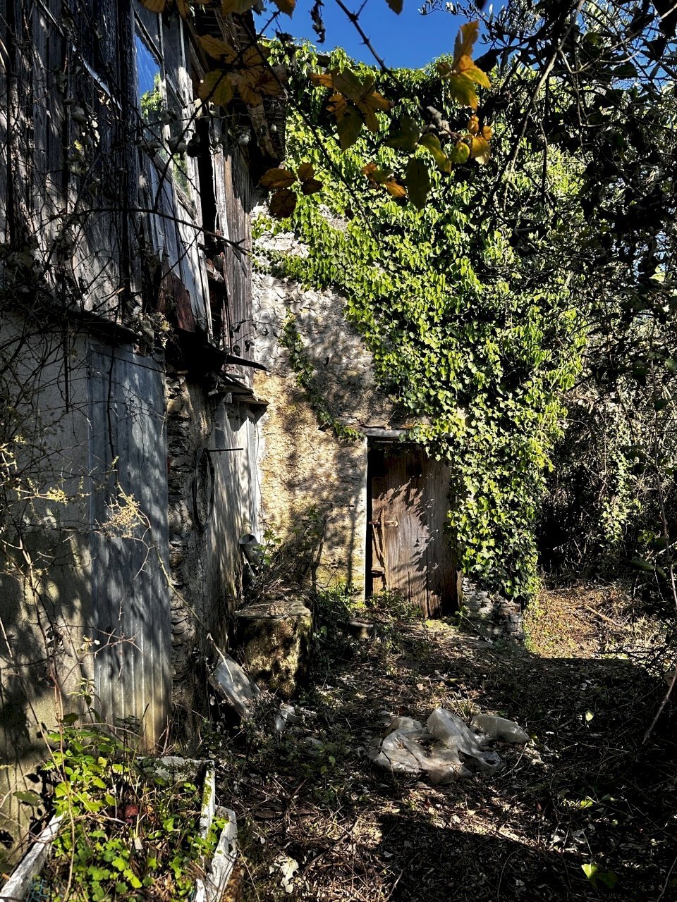 IMG_6881.JPG - Rustic Via Fritallo 5, Bogliasco - photo 3