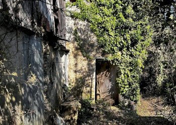 IMG_6881.JPG - Rustico Via Fritallo 5, Bogliasco - foto 3