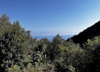 IMG_6873.JPG - Rustico Via Fritallo 5, Bogliasco - foto 5