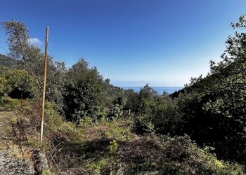 IMG_6887.JPG - Rustico Via Fritallo 5, Bogliasco - foto 6