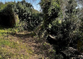 IMG_6875.JPG - Rustico Via Fritallo 5, Bogliasco - foto 7