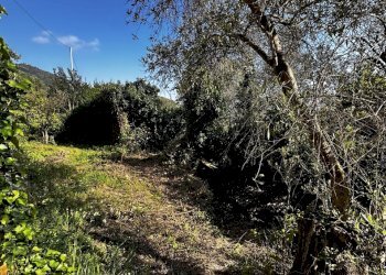 IMG_6885.JPG - Rustico Via Fritallo 5, Bogliasco - foto 8