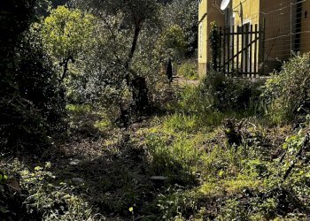 IMG_6878.JPG - Rustico Via Fritallo 5, Bogliasco - foto 12