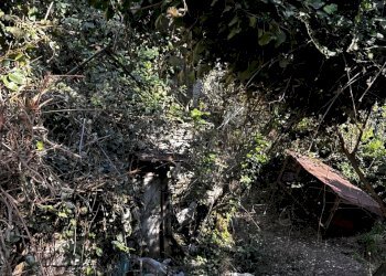 IMG_6879.JPG - Rustico Via Fritallo 5, Bogliasco - foto 13