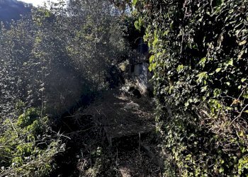 IMG_6884.JPG - Rustico Via Fritallo 5, Bogliasco - foto 15