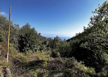 IMG_6886.JPG - Rustico Via Fritallo 5, Bogliasco - foto 16