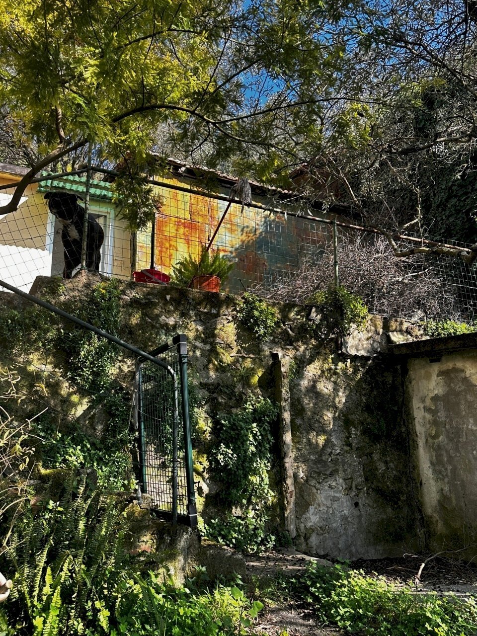 IMG_6673.JPG - Magazzino Via dei Tasso 1, Genova - foto 2