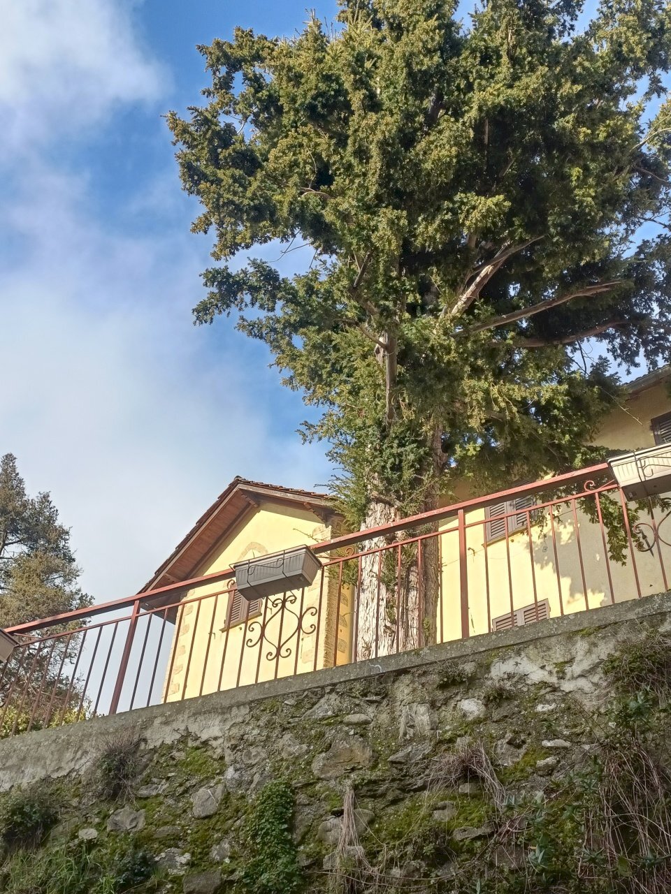 IMG20250204104834.jpg - Appartamento Via Prato 21, Savignone - foto 3