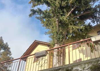 IMG20250204104834.jpg - Appartamento Via Prato 21, Savignone - foto 3