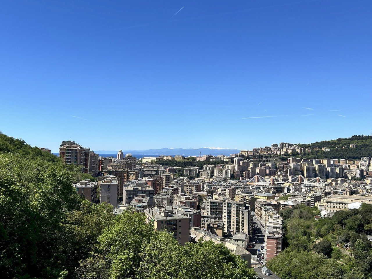 IMG_3444.jpeg - Attico Via Stefanina Moro 121, Genova - foto 1