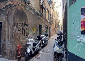 20250410_114202.jpg - Bilocale Vico del Papa 2, Genova - foto 16