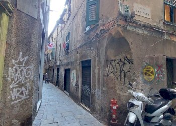 20250410_114200.jpg - Bilocale Vico del Papa 2, Genova - foto 15