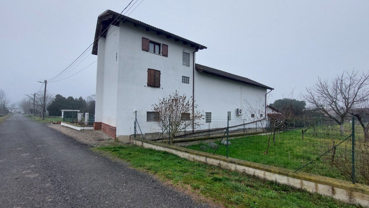 20250224_102601.jpg - Casa indipendente Via Bruni Gaioli 105, Castelnuovo Bormida - foto 2