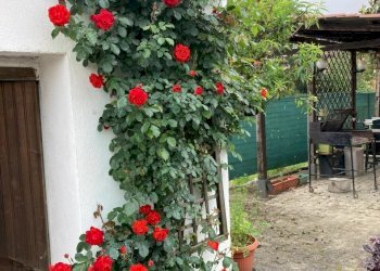 WhatsApp Image 2025-05-14 at 17.17.32.jpeg - Casa indipendente Via Bruni Gaioli 105, Castelnuovo Bormida - foto 6