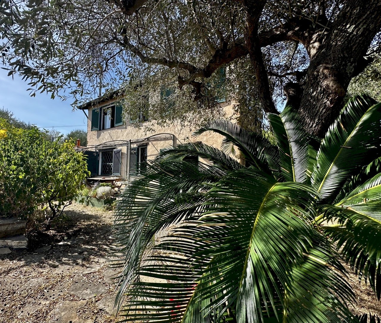 IMG_3928.jpeg - Rustico Via Madonna Della Neve, Diano Castello - foto 1