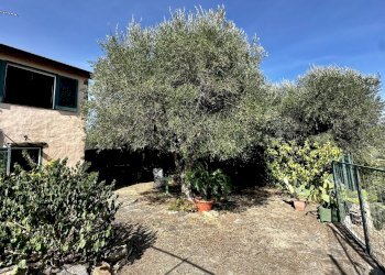 IMG_3927.jpeg - Rustico Via Madonna Della Neve, Diano Castello - foto 4