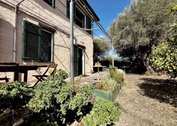 IMG_3944.jpeg - Rustico Via Madonna Della Neve, Diano Castello - foto 8