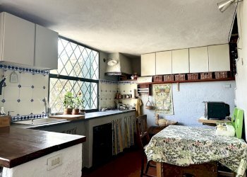 IMG_3961.jpeg - Rustico Via Madonna Della Neve, Diano Castello - foto 14