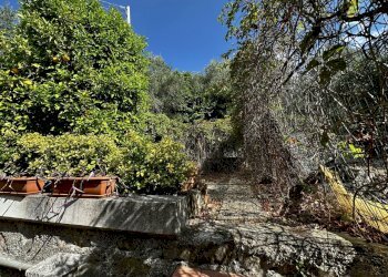 IMG_3240.jpeg - Villa a Schiera Via San Benedetto 4, Diano Arentino - foto 25