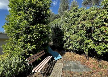 IMG_3241.jpeg - Villa a Schiera Via San Benedetto 4, Diano Arentino - foto 26