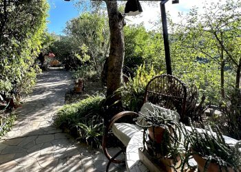 IMG_7651.jpeg - Rustico via Glori 36, Diano San Pietro - foto 30