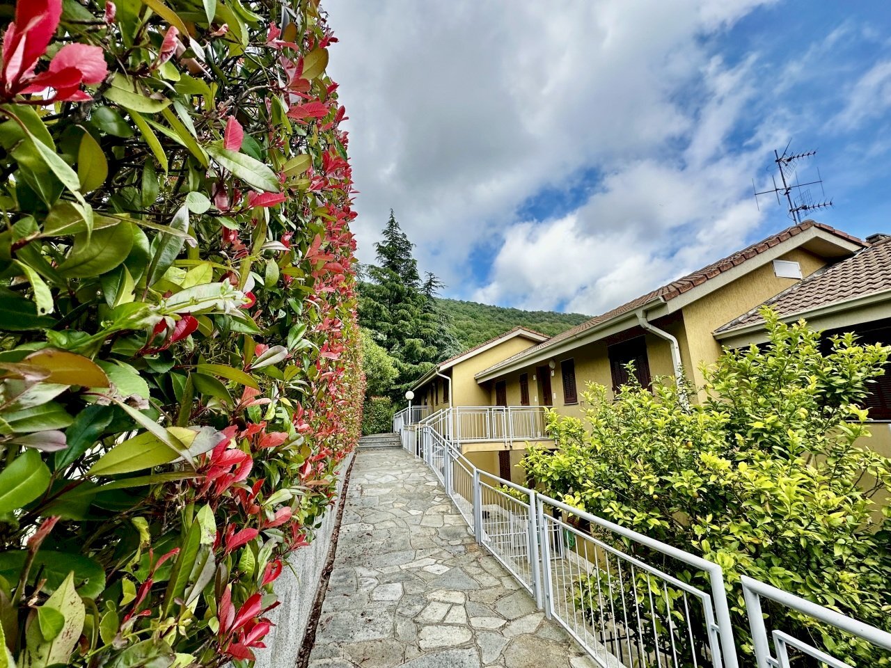 IMG_2231.jpeg - Two-room apartment via villacosta, Diano Arentino - photo 2