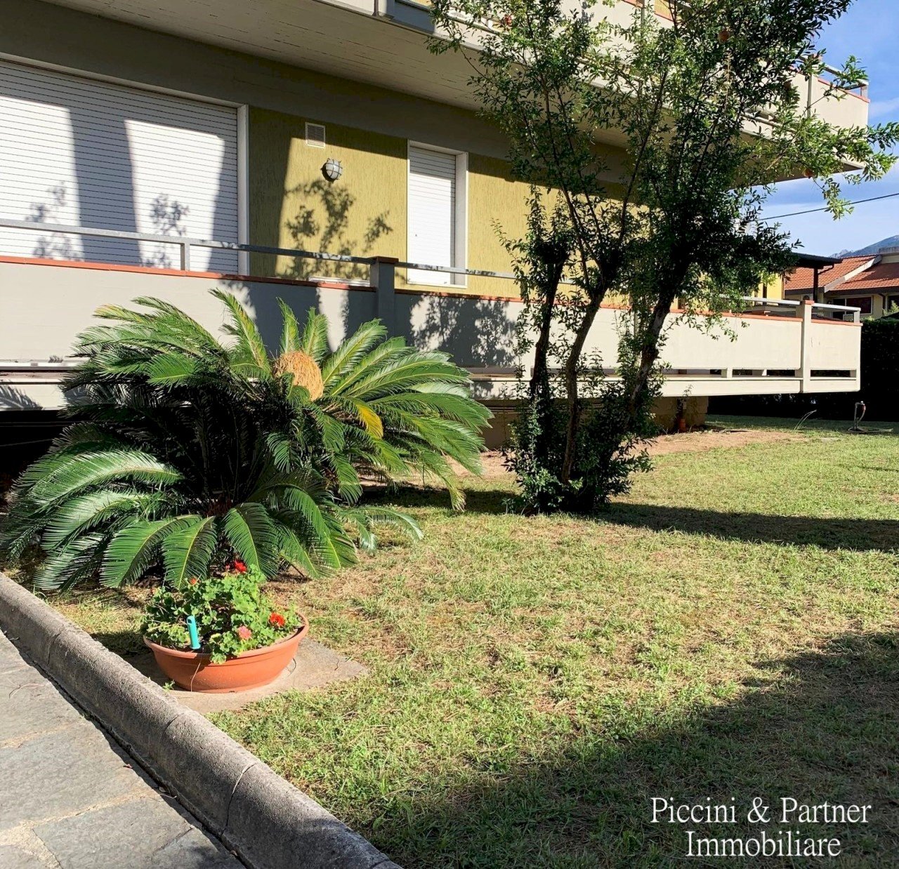 01.jpg - Appartamento Via Magliano 15, Massa - foto 1