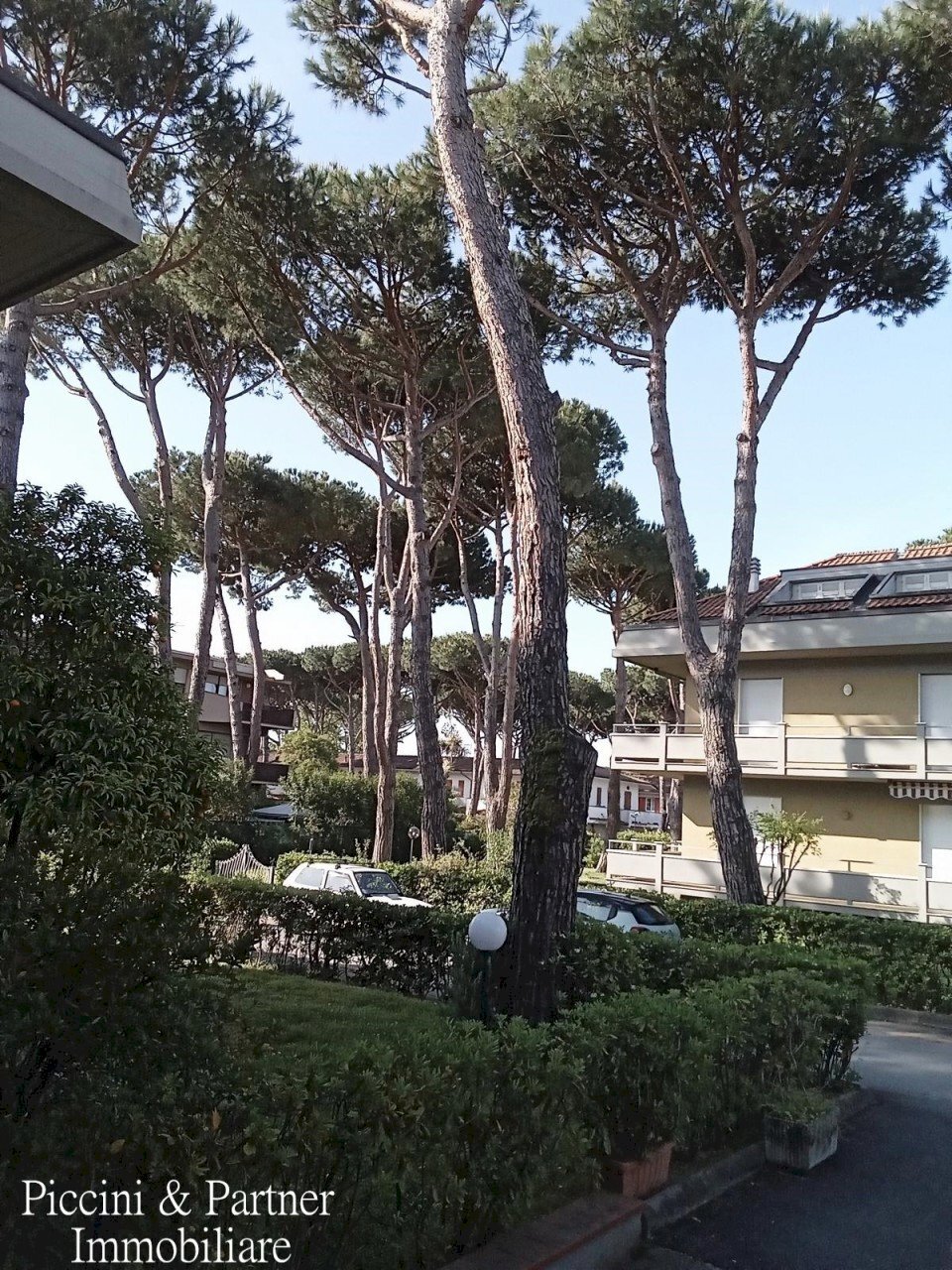 02.jpg - Apartment Via Montecatini, Massa - photo 2